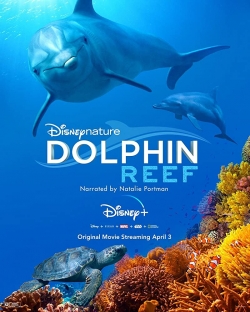 watch Dolphin Reef movies free online