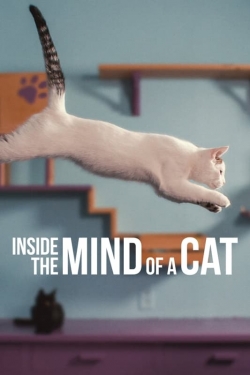 watch Inside the Mind of a Cat movies free online