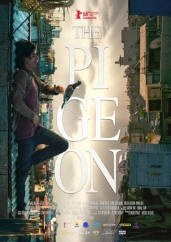 watch The Pigeon movies free online
