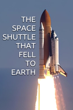 watch The Space Shuttle That Fell to Earth movies free online