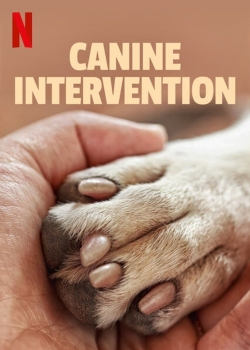 watch Canine Intervention movies free online