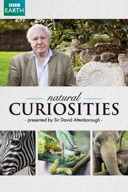 watch David Attenborough's Natural Curiosities movies free online