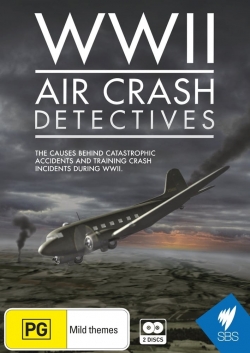 watch WWII Air Crash Detectives movies free online