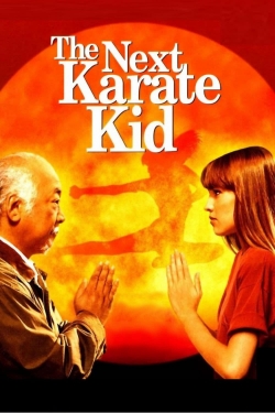 watch The Next Karate Kid movies free online
