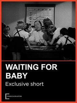 watch Waiting for Baby movies free online