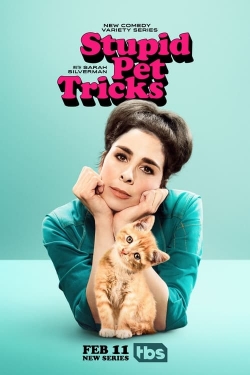 watch Stupid Pet Tricks movies free online
