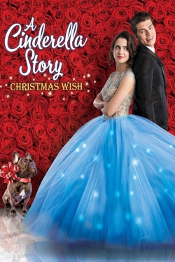 watch A Cinderella Story: Christmas Wish movies free online