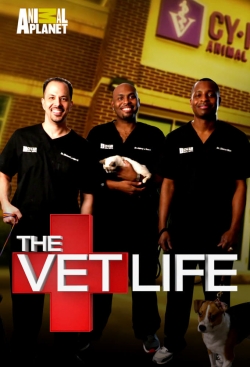 watch The Vet Life movies free online