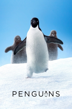 watch Penguins movies free online