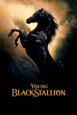 watch Young Black Stallion movies free online