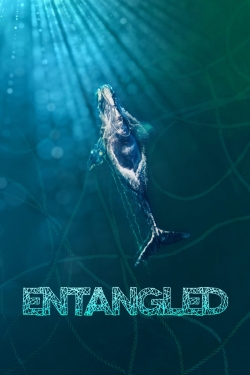 watch Entangled: The Race to Save Right Whales from Extinction movies free online