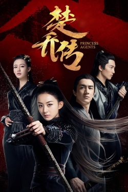 watch Princess Agents movies free online