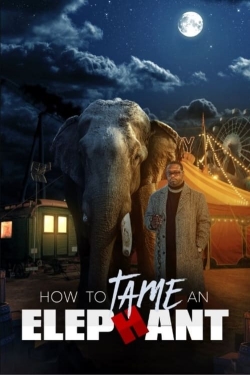 watch How To Tame An Elephant movies free online