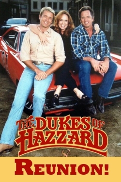watch The Dukes of Hazzard: Reunion! movies free online