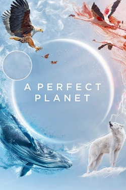 watch A Perfect Planet movies free online