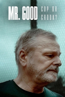 watch Mr. Good: Cop or Crook? movies free online