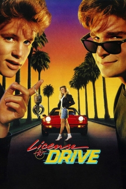 watch License to Drive movies free online
