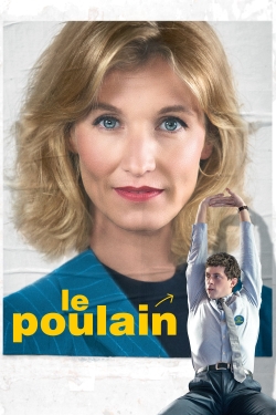 watch Le Poulain movies free online