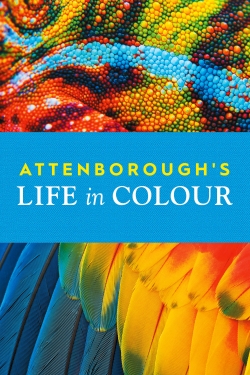 watch Attenborough's Life in Colour movies free online