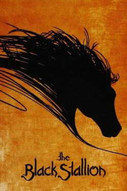 watch The Black Stallion movies free online
