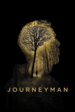 watch Journeyman movies free online