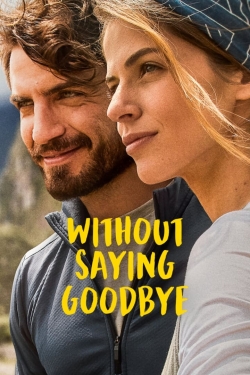 watch Without Saying Goodbye movies free online