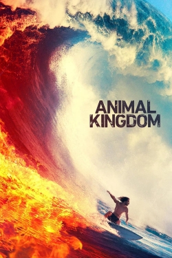 watch Animal Kingdom movies free online