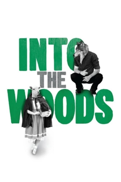 watch Into the Woods movies free online