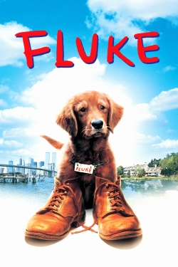 watch Fluke movies free online