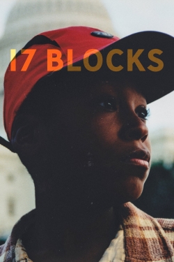 watch 17 Blocks movies free online