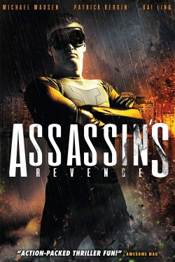 watch Assassins Revenge movies free online