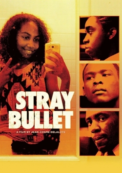 watch Stray Bullet movies free online