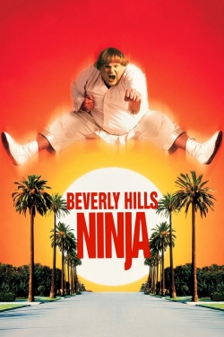 watch Beverly Hills Ninja movies free online