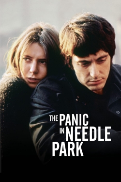 watch The Panic in Needle Park movies free online