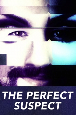 watch The Perfect Suspect movies free online