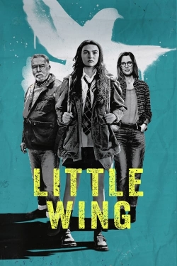 watch Little Wing movies free online