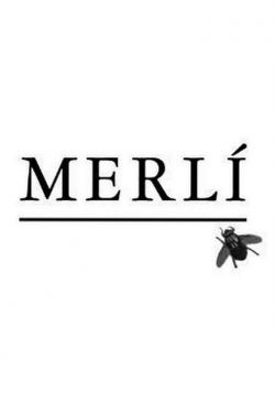 watch Merlí movies free online