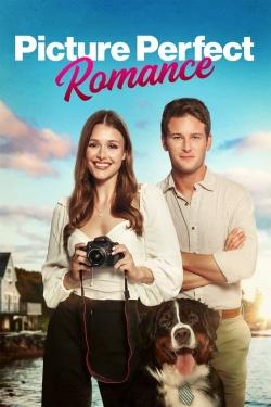 watch Picture Perfect Romance movies free online