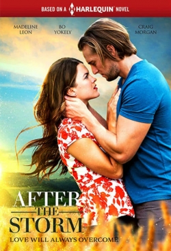 watch After the Storm movies free online