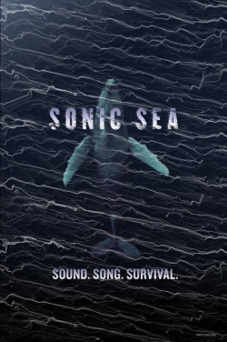 watch Sonic Sea movies free online