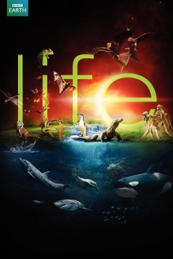 watch Life movies free online