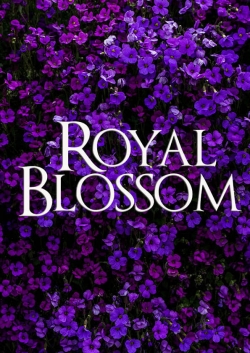 watch Royal Blossom movies free online