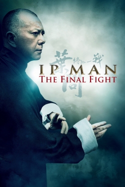 watch Ip Man: The Final Fight movies free online