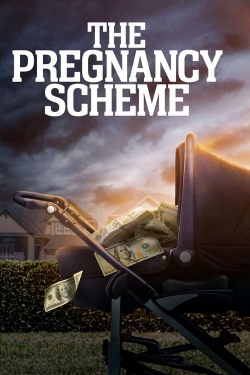 watch The Pregnancy Scheme movies free online