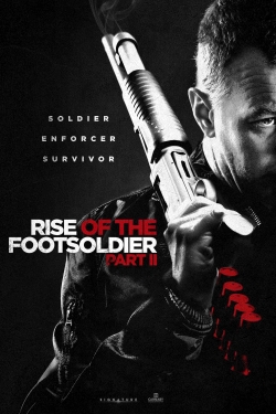 watch Rise of the Footsoldier Part II movies free online