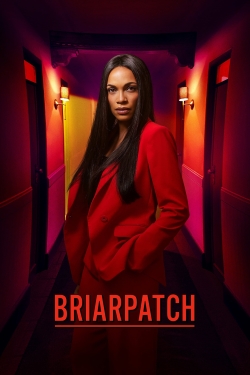 watch Briarpatch movies free online