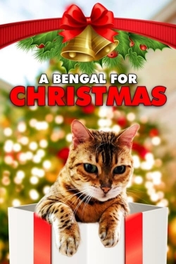 watch A Bengal for Christmas movies free online