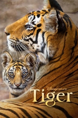 watch Tiger movies free online