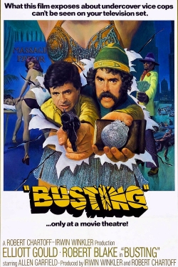 watch Busting movies free online