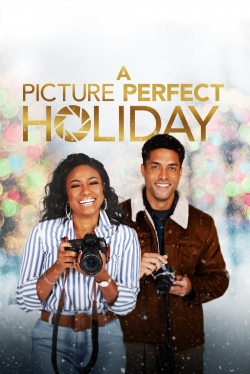 watch A Picture Perfect Holiday movies free online